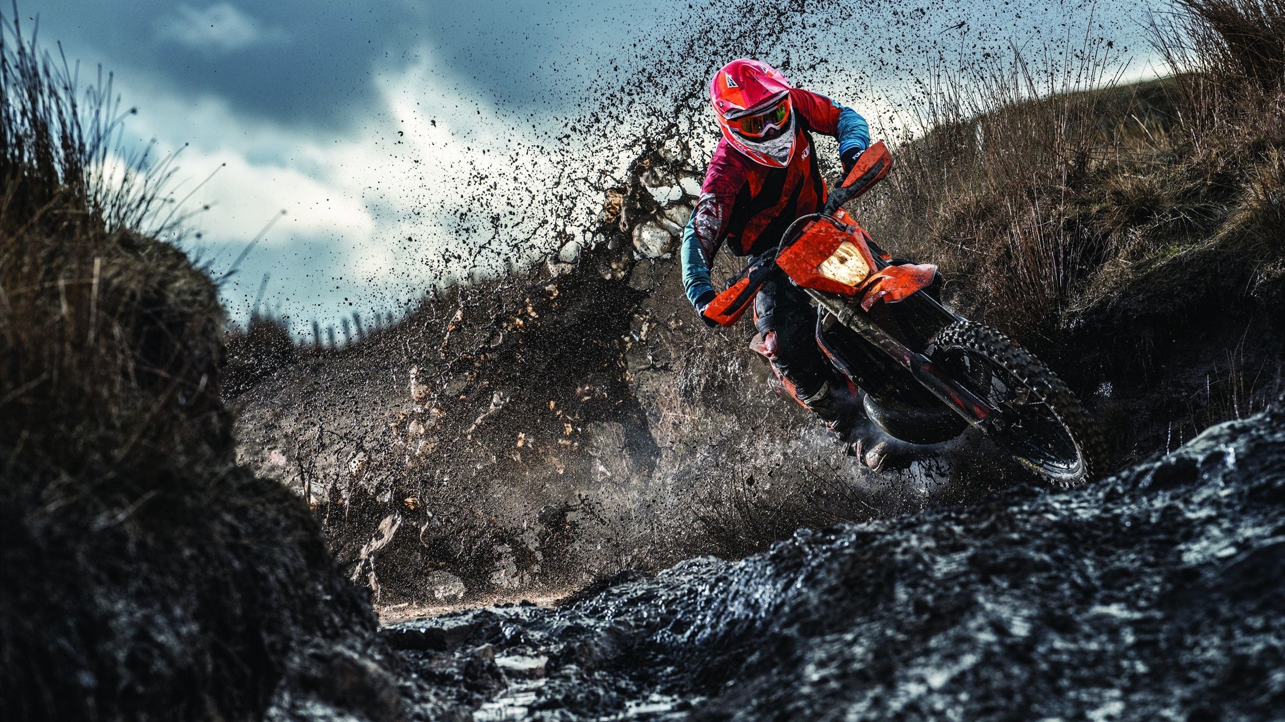 ky体育-唐斯篮下发威森林狼主场称王，唐斯加盟篮网